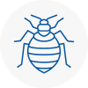 Bed Bug Extermination In Holmfirth